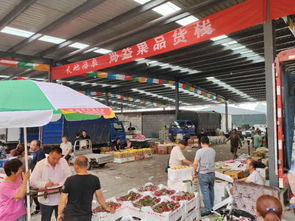 路南區再添購物新體驗——假期水果零售好去處推薦